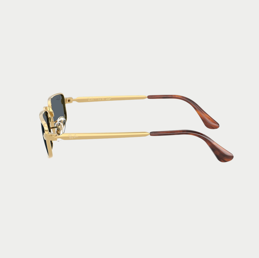 GAFAS RAY - BAN X A$AP ROCKY