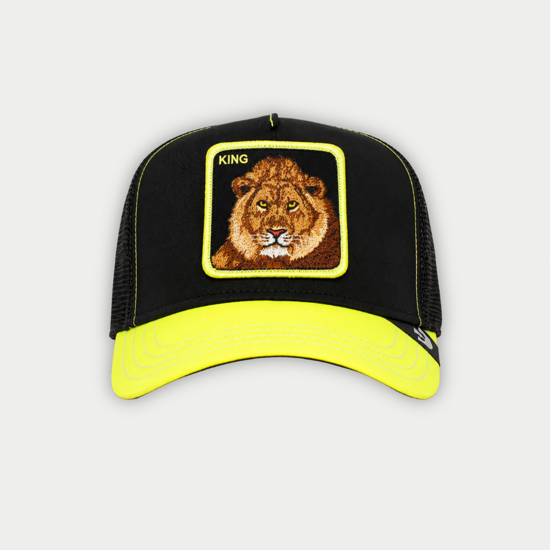 GORRA GOORIN BROS EVERYTHING