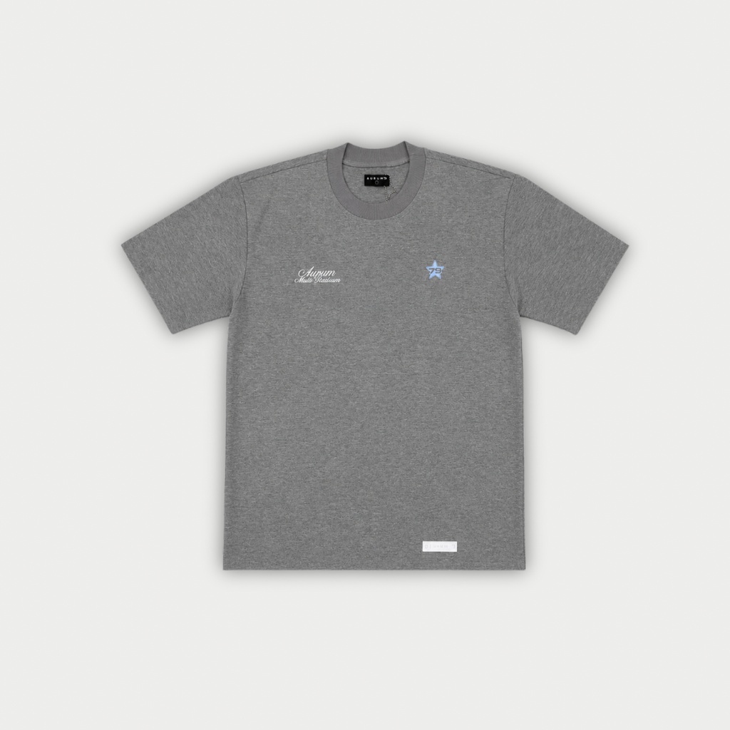 CAMISETA AURUM MULTIPLATINIUM GRIS