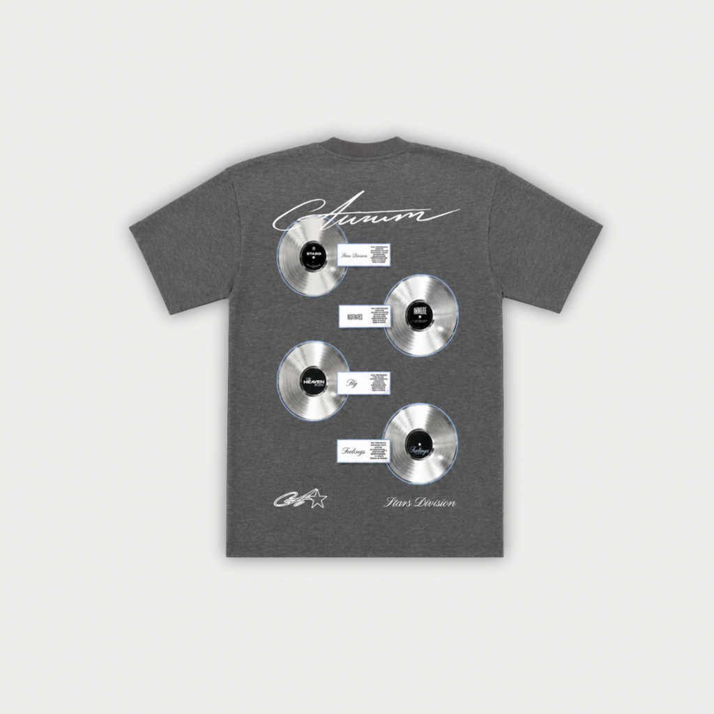 CAMISETA AURUM MULTIPLATINIUM GRIS