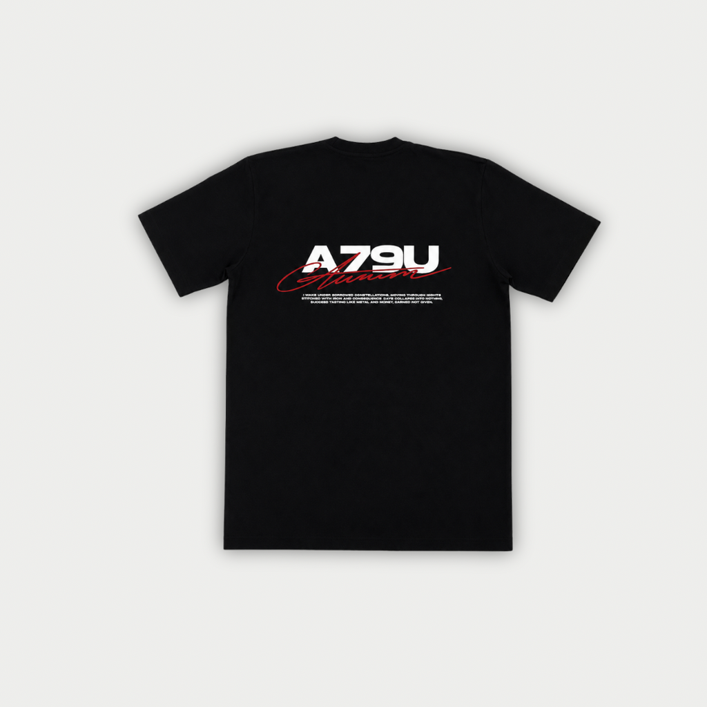 CAMISETA AURUM A 79 LINE