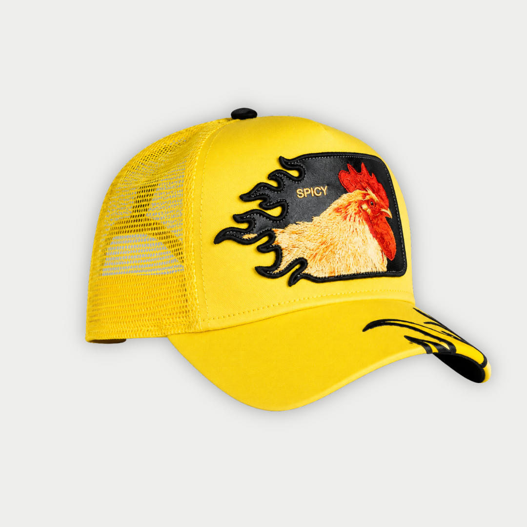 GORRA GOORIN BROS SPICY FLAMES