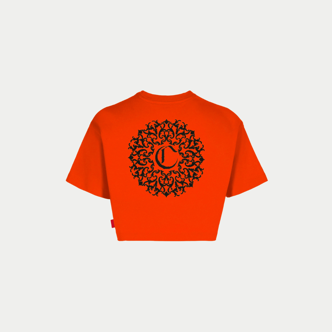 CROP TOP DAMA CLEMONT ARMONIOSO