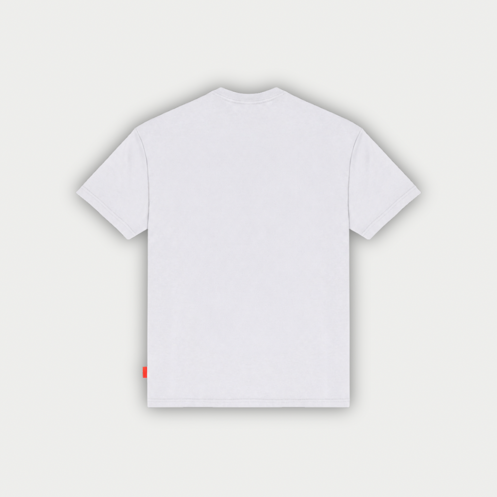 CAMISETA CLEMONT RECESSO GRIS
