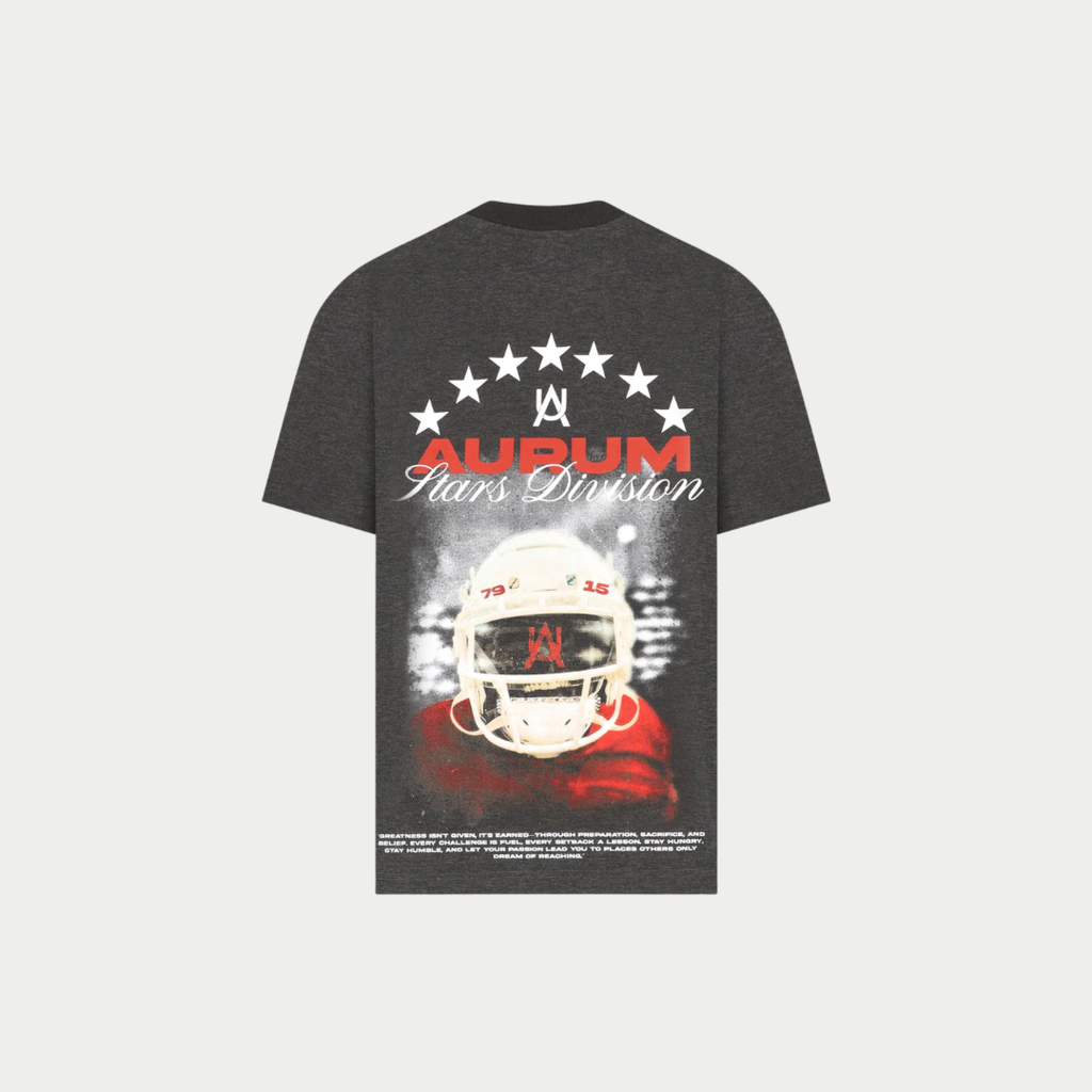 CAMISETA AURUM PM