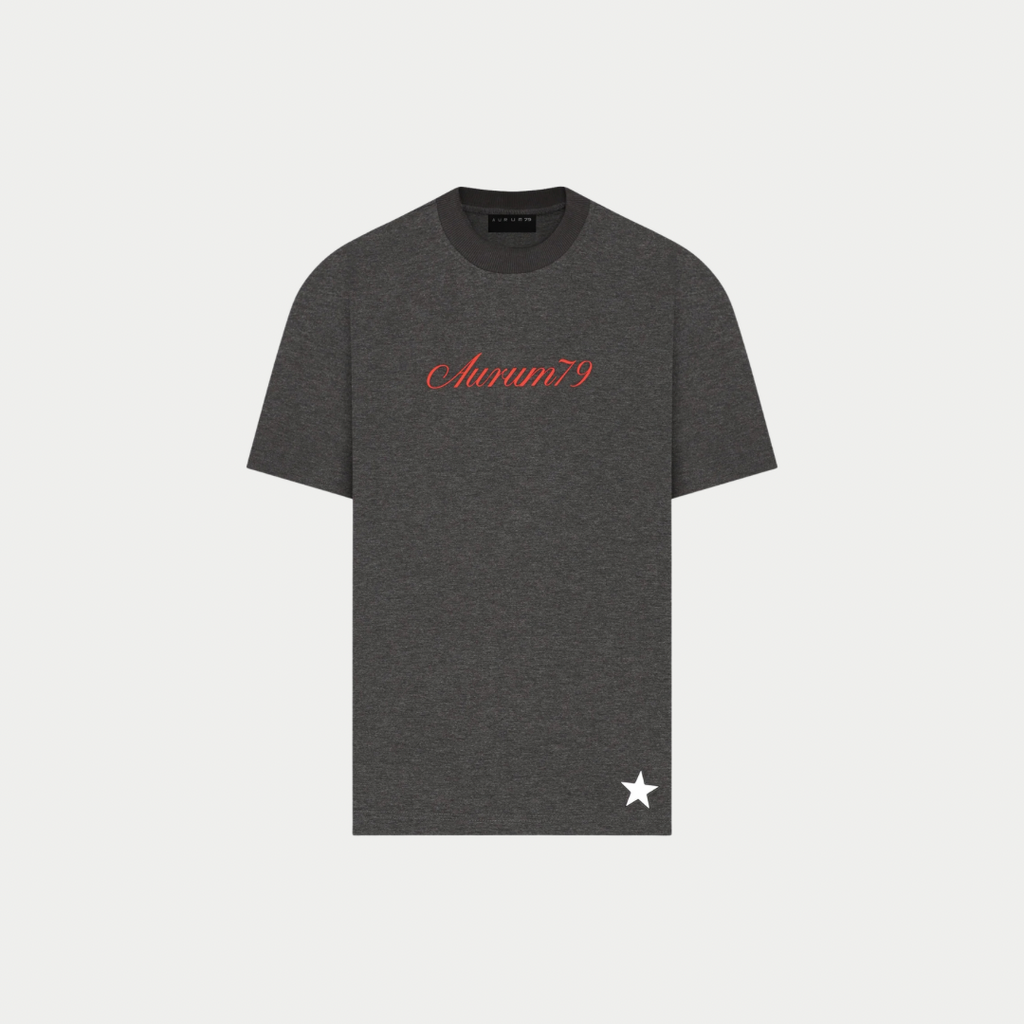 CAMISETA AURUM PM