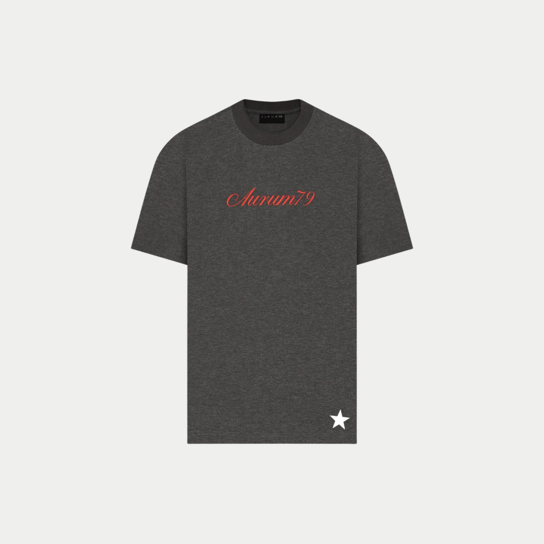 CAMISETA AURUM PM